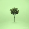Simulated Phalaenopsis potted green plant, artificial green plant bundle, plastic simulated tree, green plant simulation details Picture